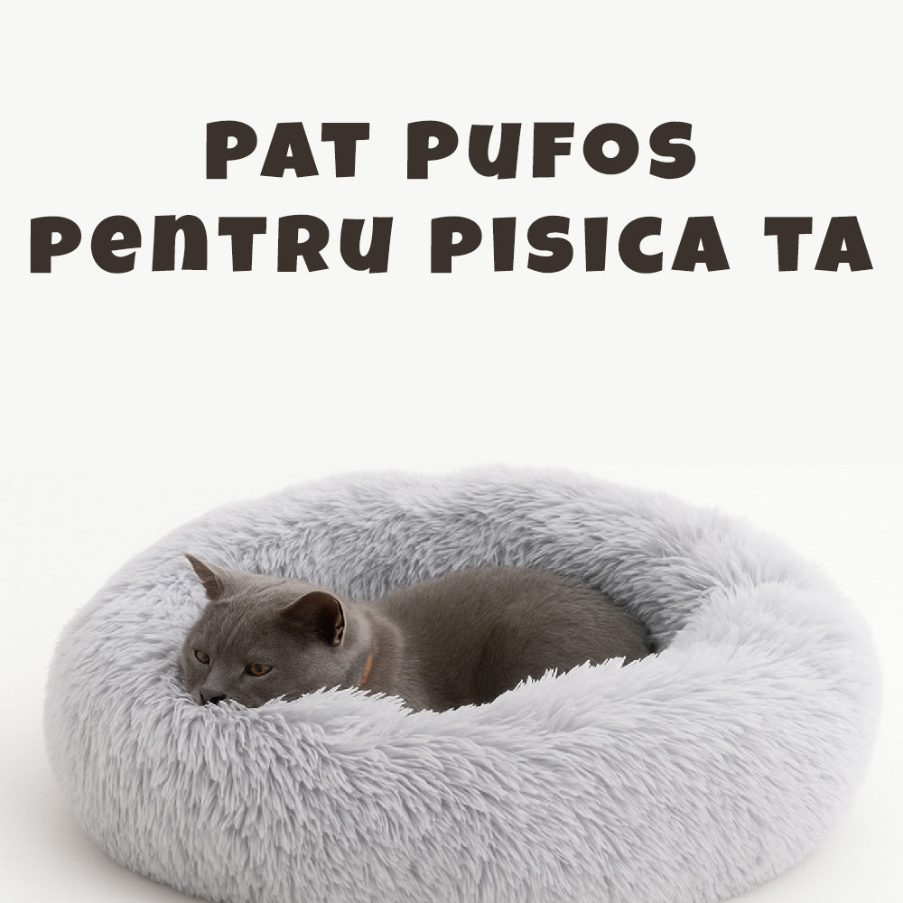 dogs are the beautiful