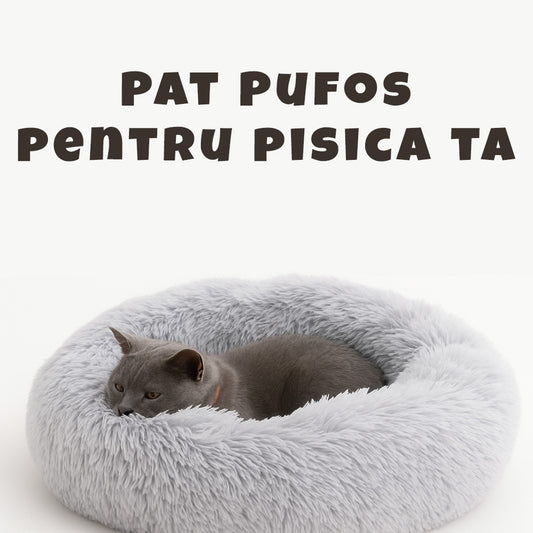 " Stuffed With Love " cat bed